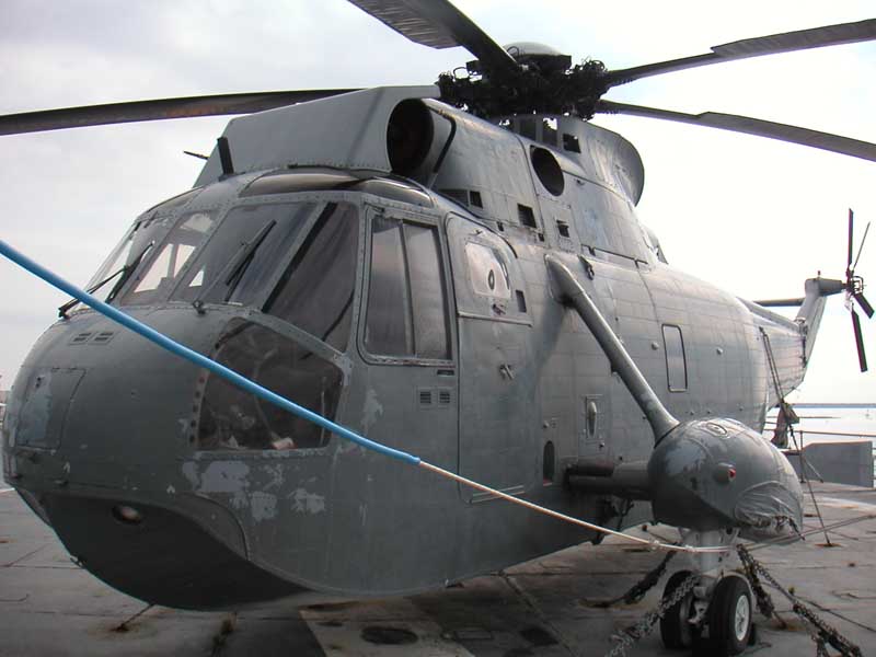 11-Seaking