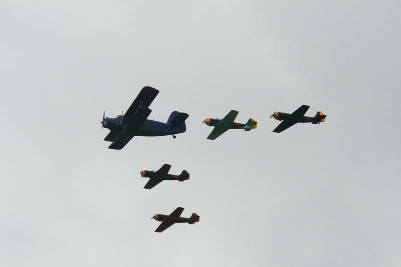 An2_formation_Hahnweide07_033