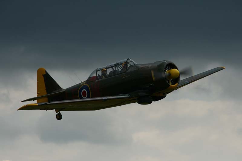 Anson_Hahnweide07_172