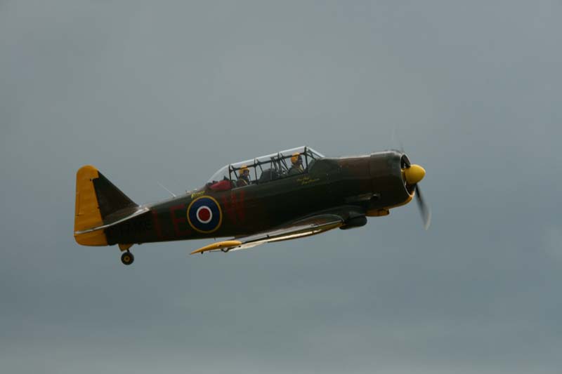 Anson_Hahnweide07_173