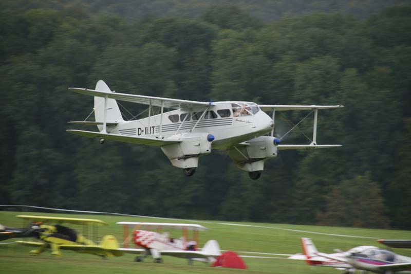 DH89A_Hahnweide07_048