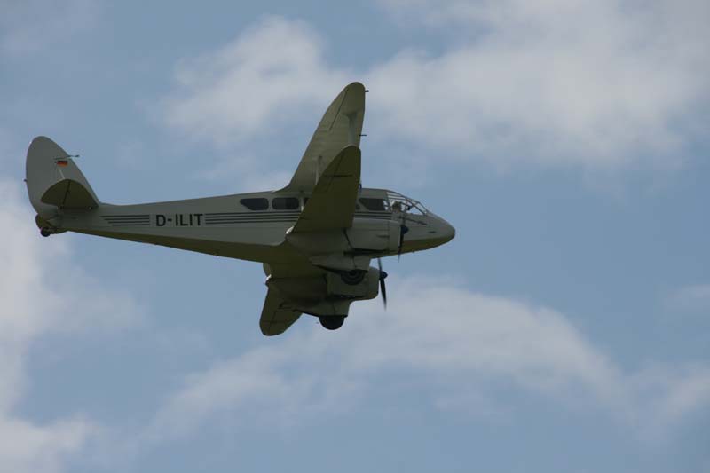 DH89A_Hahnweide07_057