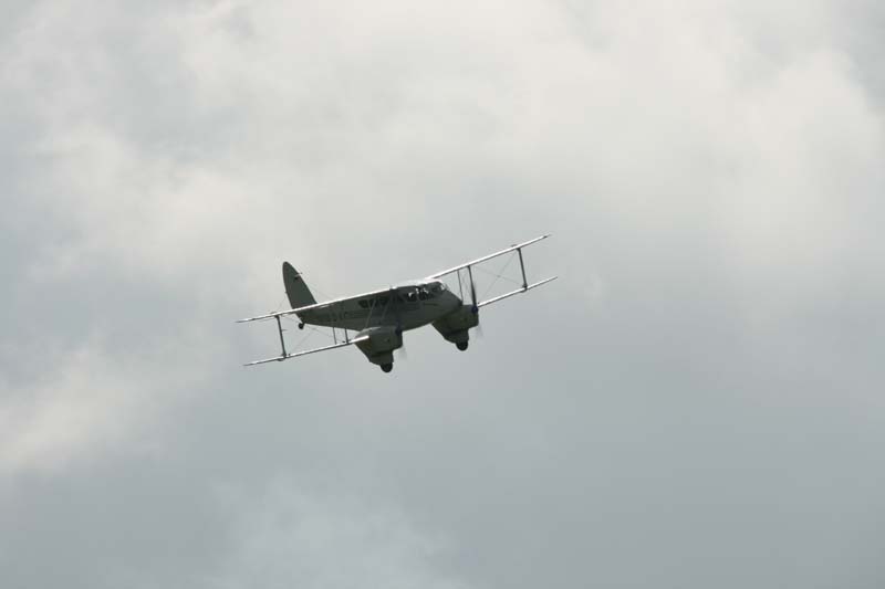 DH89A_Hahnweide07_062