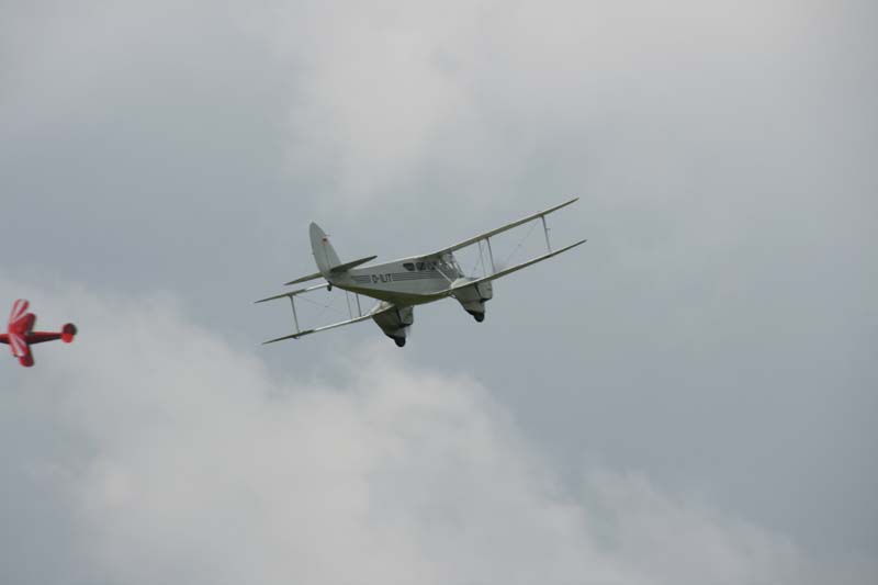 DH89A_Hahnweide07_063