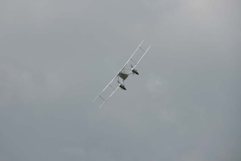 DH89A_Hahnweide07_064