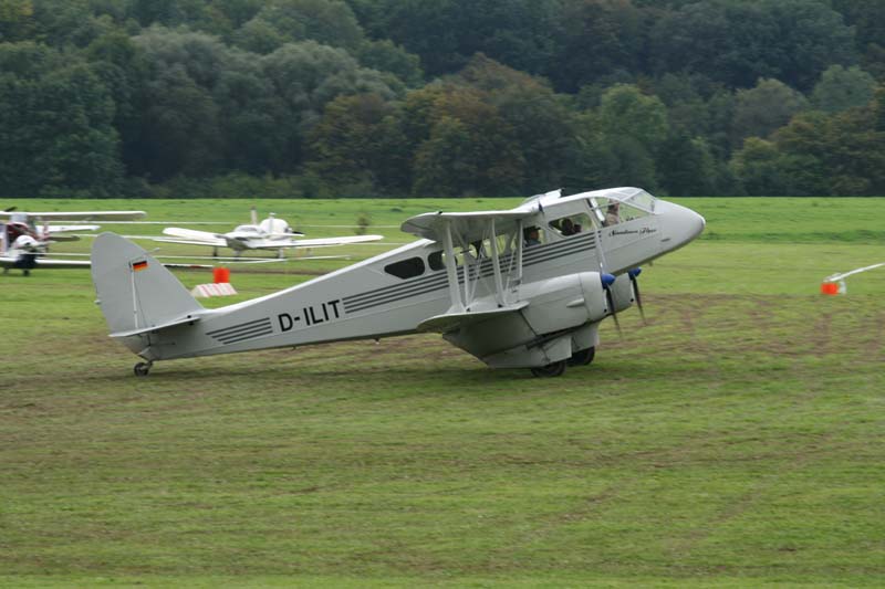 DH89A_Hahnweide07_082