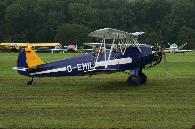 FW_Stieglitz_Hahnweide07_025