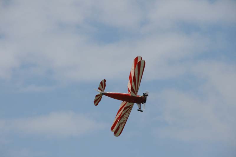 FW_Stieglitz_Hahnweide07_055