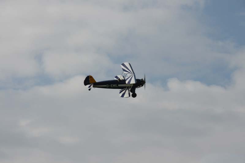 FW_Stieglitz_Hahnweide07_056