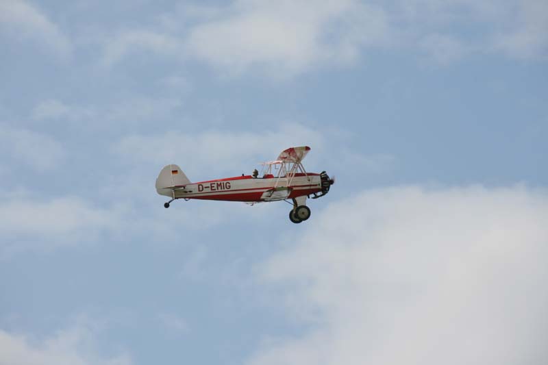 FW_Stieglitz_Hahnweide07_059