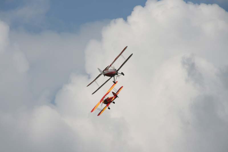 FW_Stieglitz_Hahnweide07_060