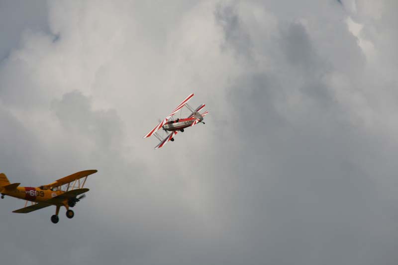 FW_Stieglitz_Hahnweide07_061