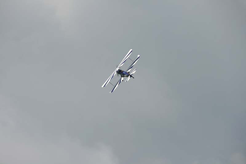 FW_Stieglitz_Hahnweide07_065