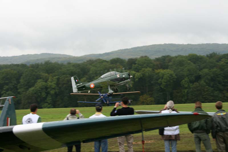 Fennec_Hahnweide07_006