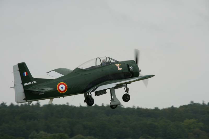 Fennec_Hahnweide07_007