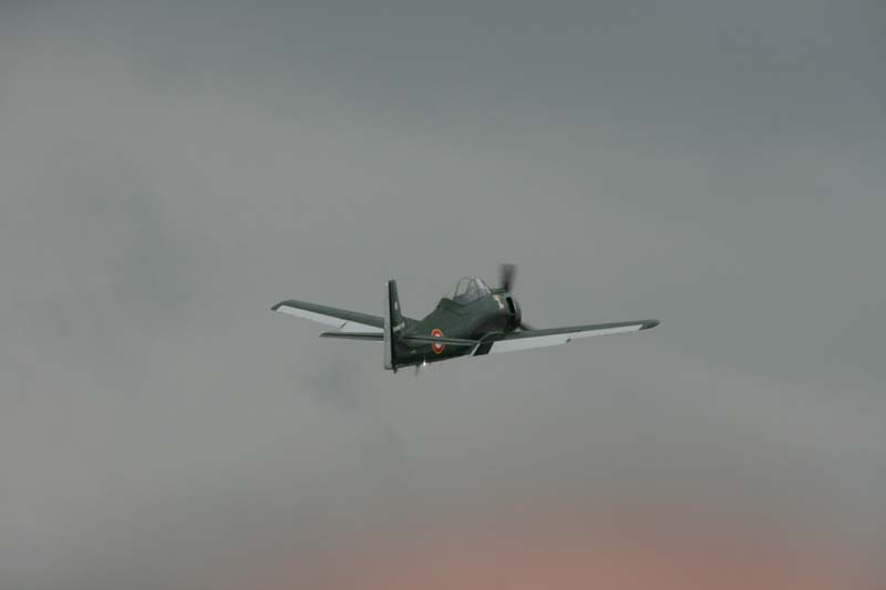 Fennec_Hahnweide07_008