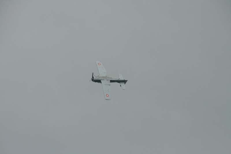 Fennec_Hahnweide07_011