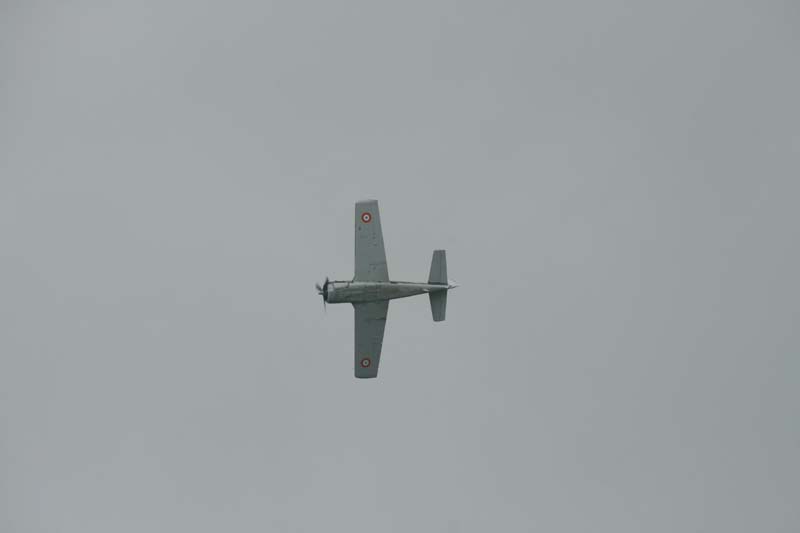 Fennec_Hahnweide07_012