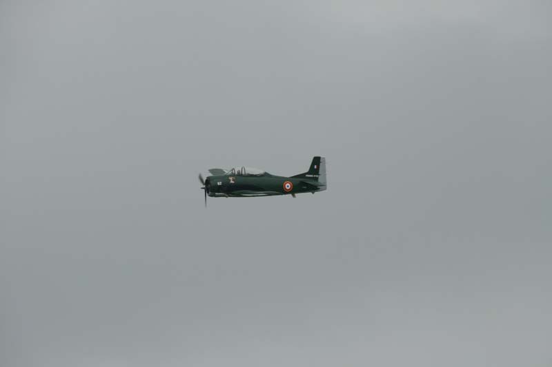 Fennec_Hahnweide07_013