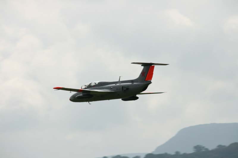 L29_Delphin_Hahnweide07_076