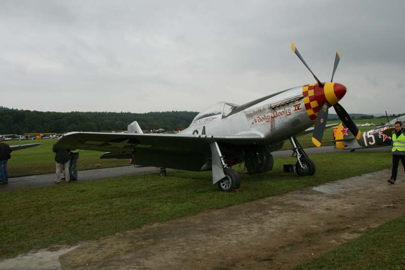 Mustang_Hahnweide07_004