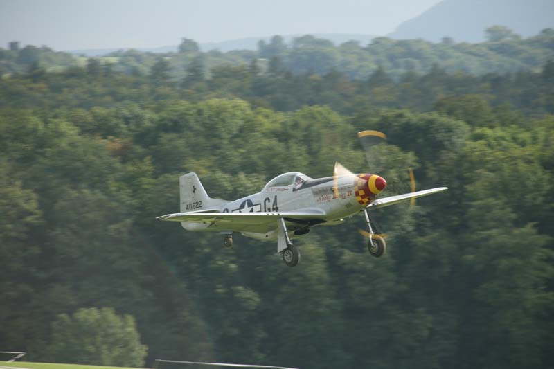 Mustang_Hahnweide07_193