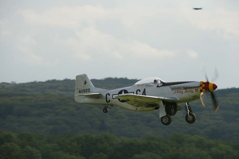 Mustang_Hahnweide07_194