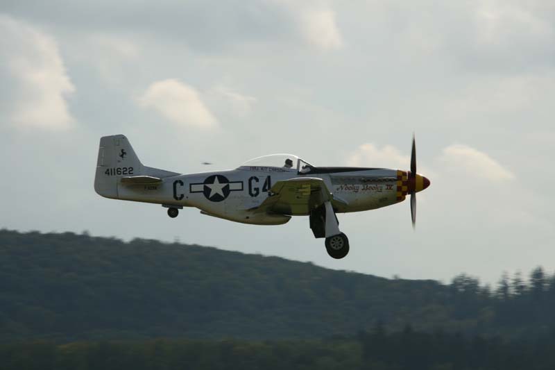 Mustang_Hahnweide07_195