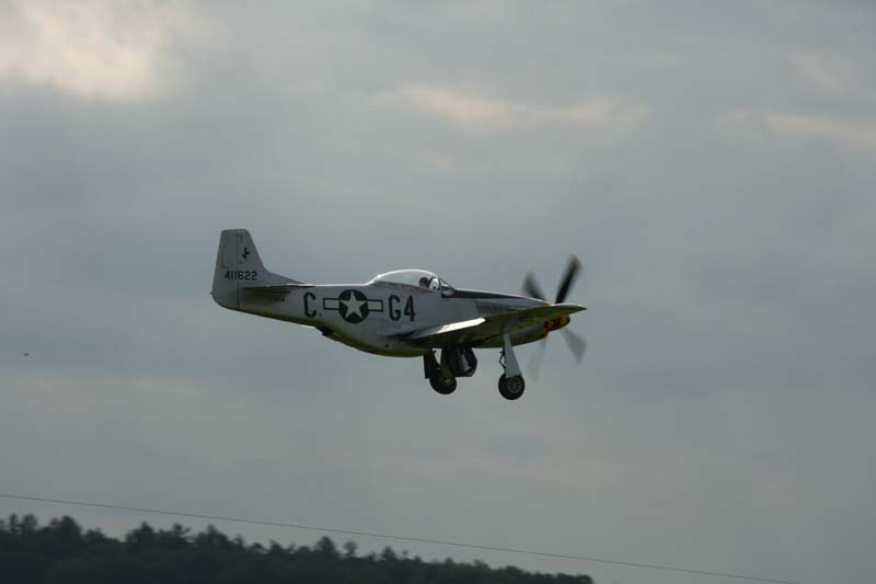 Mustang_Hahnweide07_196