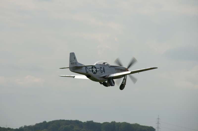 Mustang_Hahnweide07_197