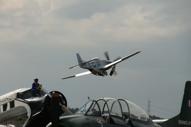 Mustang_Hahnweide07_198