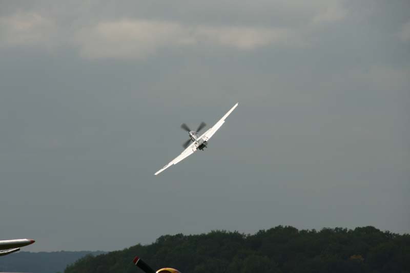 Mustang_Hahnweide07_199