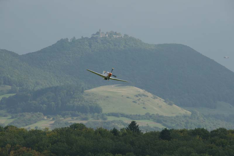 Mustang_Hahnweide07_201