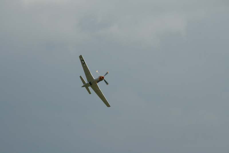 Mustang_Hahnweide07_202