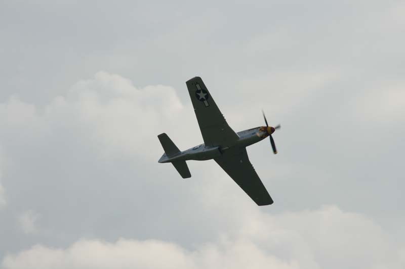 Mustang_Hahnweide07_203