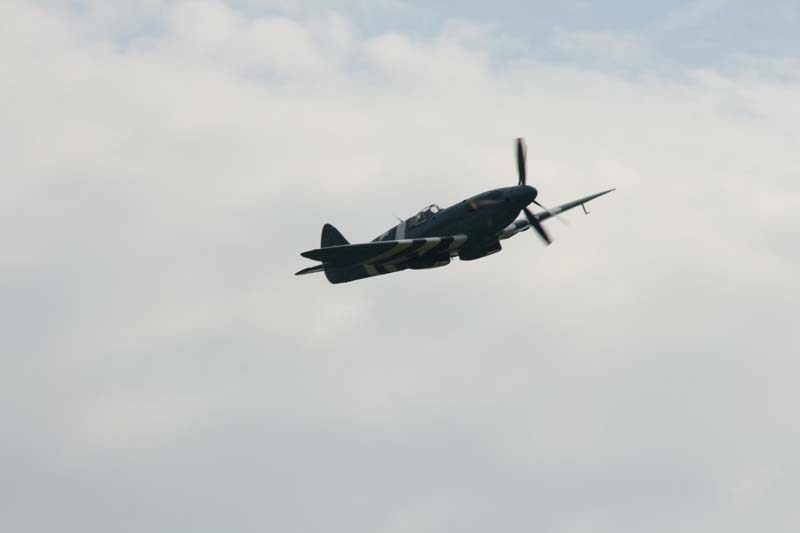 Spitfire_Hahnweide07_206