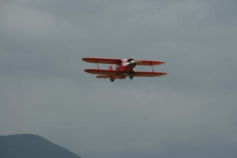 Staggerwing_Hahnweide07_119