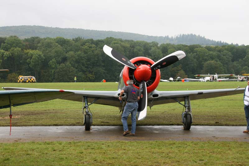 Yak11_Hahnweide07_002