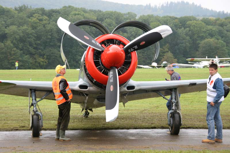 Yak11_Hahnweide07_003