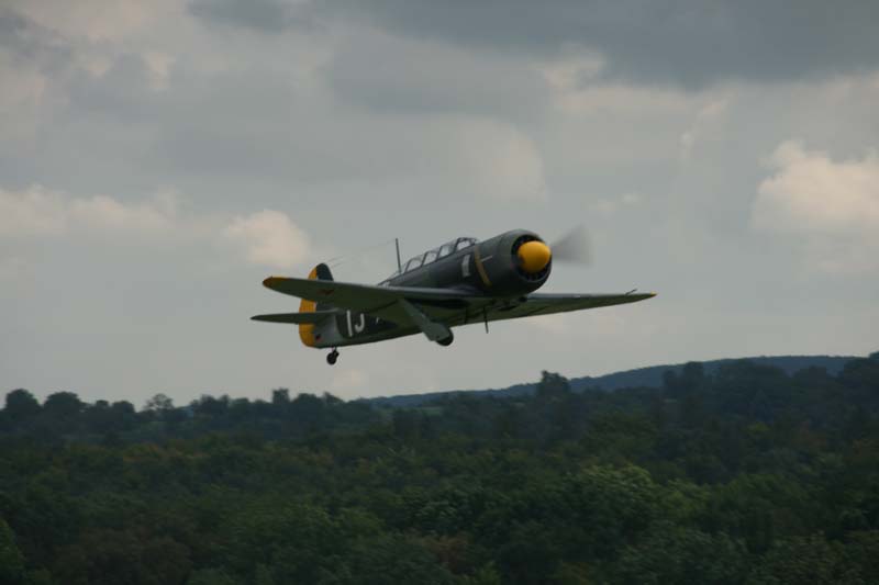 Yak11_Hahnweide07_176