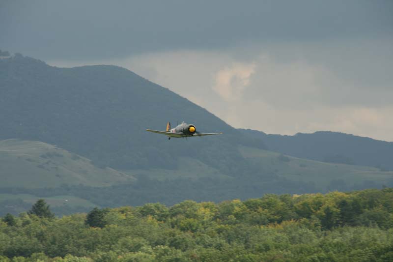 Yak11_Hahnweide07_179