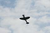 Spitfire_Hahnweide07_208