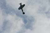 Spitfire_Hahnweide07_209