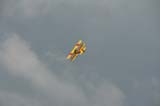 Stearman_Hahnweide07_066