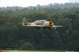 Yak52_Hahnweide07_151