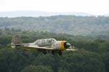 Yak52_Hahnweide07_152